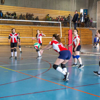 Volley (3)